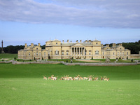 Bats, spiders and witches in store for Halloween at Holkham Hall