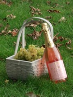 ‘Celebrate Cheshire’ by sampling wine from a Cheshire vineyard