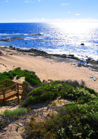 Western Australia’s bid for British brains