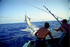 Black Marlin