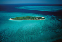 Heron Island