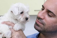 Meet TV’s Marc Abraham at the LovePets Show