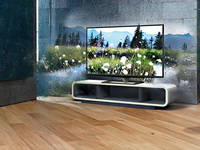 Toshiba large-screen glasses-free 3D TV