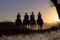 Sunset ride, South Africa, Pakamisa Private Game Reserve
