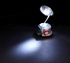 Canglepoise Lamp