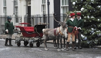 Persimmon offers festive rewards