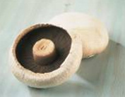 T'is the season... for mushrooms