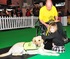 LovePets Show
