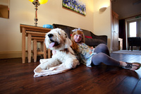 Wilson the Old English Sheepdog enjoys his first stay at Hodsock Priory