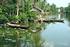 Cruise the Mekong Delta