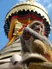 Monkey Temple, Kathmandu 4 - credit Suzanne Seyghal