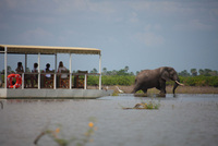 A watery wonderland in southern Tanzania