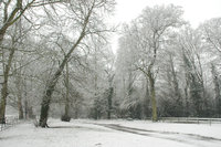 Christmas at Quex