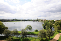 Woodberry Park offers a view to a thrill