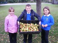 Hard-core environmental activist helps school cut waste