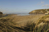 Celebrate on the beach this year