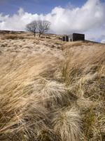 Yorkshire Moors