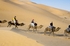 Camel riding in Morocco