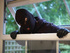 Burglary rises at Christmas 