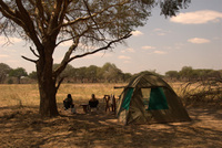 Botanical dream in southern Tanzania