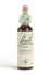 Bach Original Flower Remedy Gentian