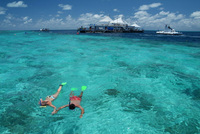 Dive into aquatic adventures on the Great Barrier Reef