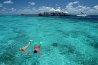 The Great Barrier Reef