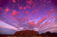 Enjoy panoramic views of Ayers Rock from a hot air balloon