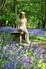 Bluebells at Hole Park Gardens in Rolvenden