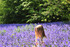 Bluebells at Hole Park Gardens in Rolvenden