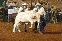 Ranch Rodeo