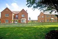 Lavender Fields viewhome demonstrates homebuilding excellence