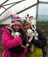 No kidding - there’s new arrivals at award winning farm attraction