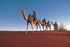 Camel Trek in Australias Red Centre