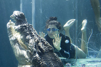 Swim with the crocs Ben Fogle style in Australia's Northern Territory