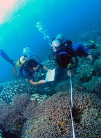 Divers on a Biosphere Expeditions conservation project 