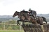 Cheltenham racing