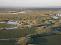 Storks, swamps and hot springs - Seek out secret Zambia