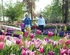 Keukenhof