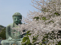 Japan Japan