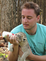 Lion cubs