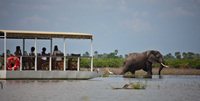 Safari like royalty in southern Tanzania