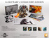 GW2 Collectors Edition