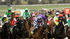 Horse racing