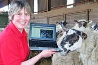 Lambing Live comes to North East England