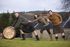 Spirit of Speyside Whisky Festival