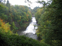 The Falls of Clyde