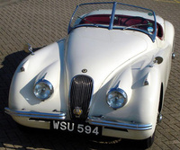 Jaguars set to slink into Sandown