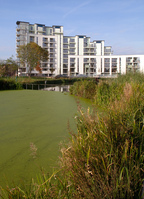 Parkside homes in London at an affordable price