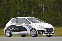 Peugeot 208 R2 Rally Car